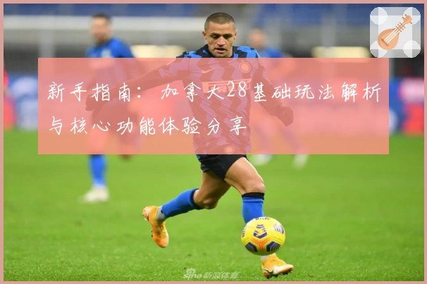 新手指南：加拿大28基础玩法解析与核心功能体验分享