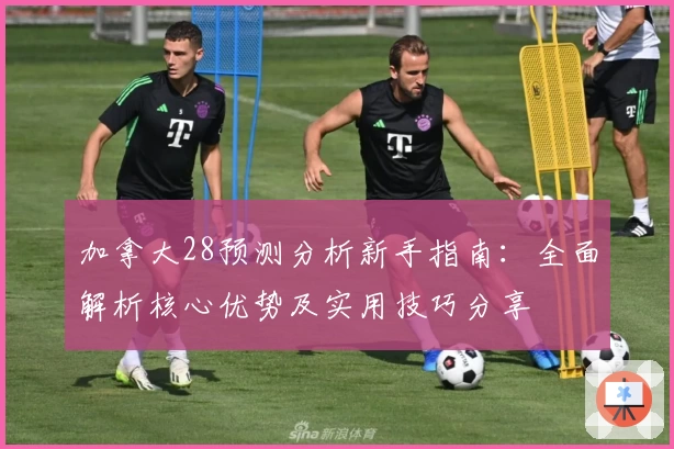 加拿大28预测分析新手指南：全面解析核心优势及实用技巧分享