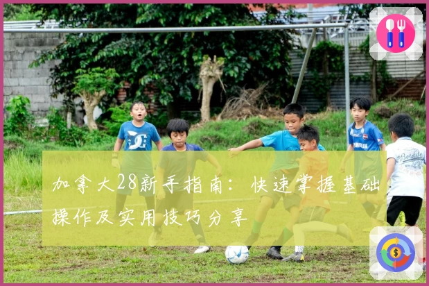 加拿大28新手指南:快速掌握基础操作及实用技巧分享