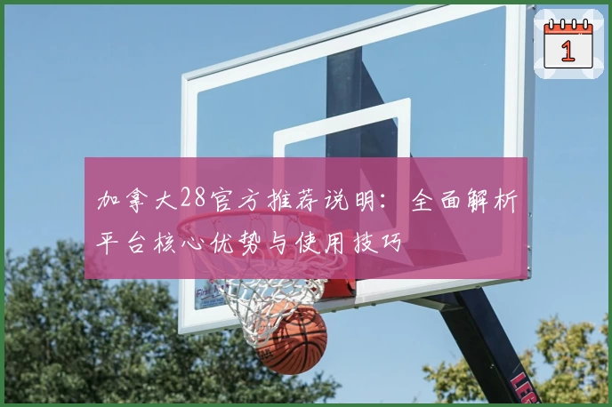 加拿大28官方推荐说明：全面解析平台核心优势与使用技巧