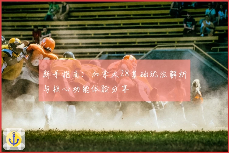 新手指南：加拿大28基础玩法解析与核心功能体验分享