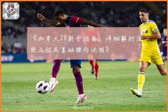 《加拿大28新手指南：详细解析注册流程及基础操作说明》