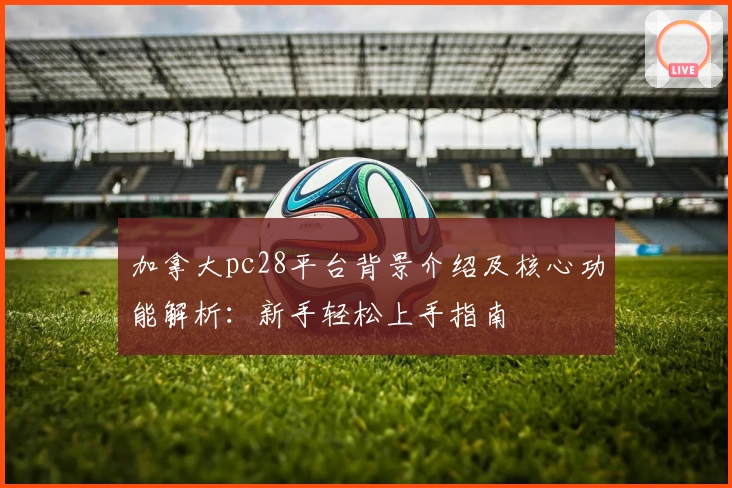 加拿大pc28平台背景介绍及核心功能解析：新手轻松上手指南