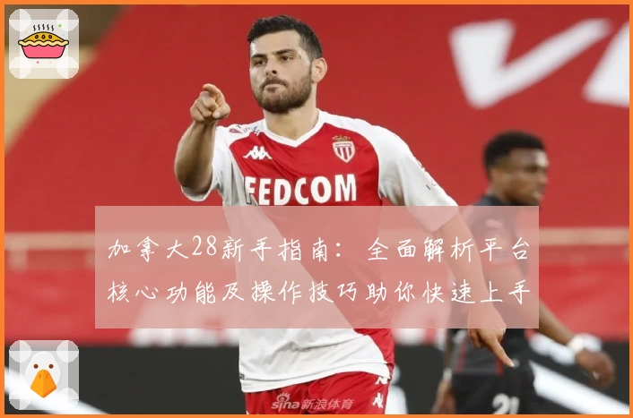 加拿大28新手指南：全面解析平台核心功能及操作技巧助你快速上手