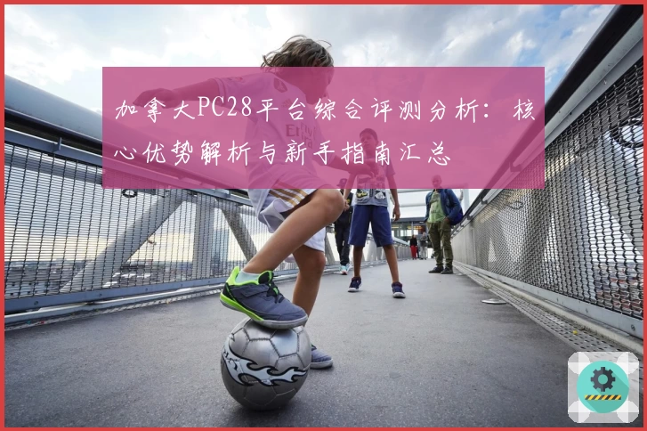 加拿大PC28平台综合评测分析：核心优势解析与新手指南汇总