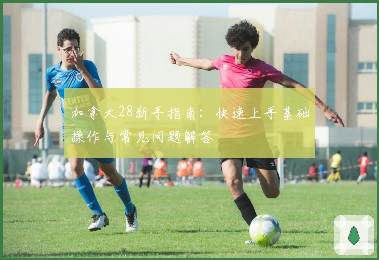 加拿大28新手指南：快速上手基础操作与常见问题解答