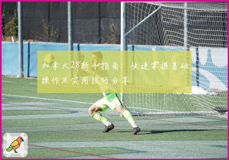 加拿大28新手指南：快速掌握基础操作及实用技巧分享