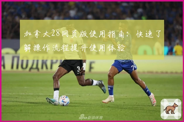 加拿大28网页版使用指南：快速了解操作流程提升使用体验