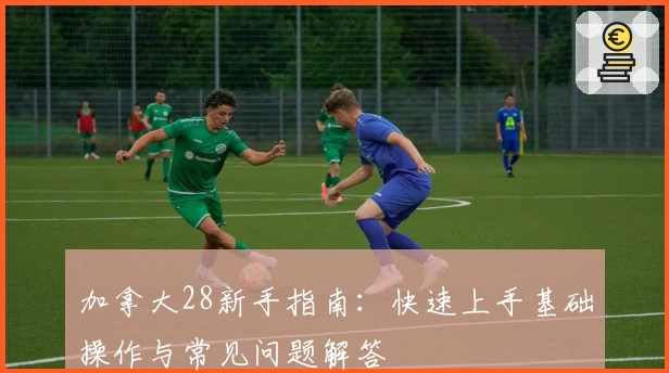 加拿大28新手指南：快速上手基础操作与常见问题解答