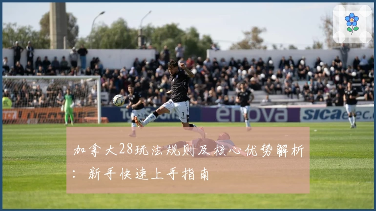 加拿大28玩法规则及核心优势解析：新手快速上手指南